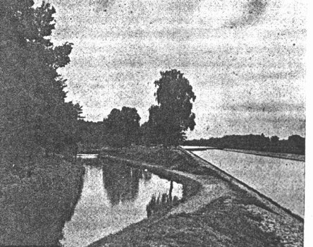 03.jpg